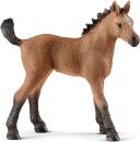 Schleich - Quarter Horse Fohlen, Brown